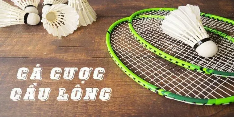 Cách Chơi Cá Cược Cầu Lông Tại Hi88 Chi Tiết Cho Người Mới Bắt Đầu