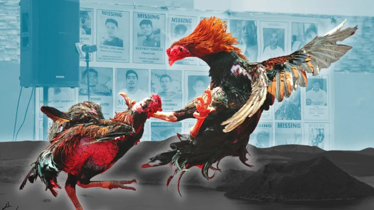 Cách Chơi Đá Gà Sabong Tại Hi88 Hiểu Rõ Luật Và Tăng Tỷ Lệ Thắng