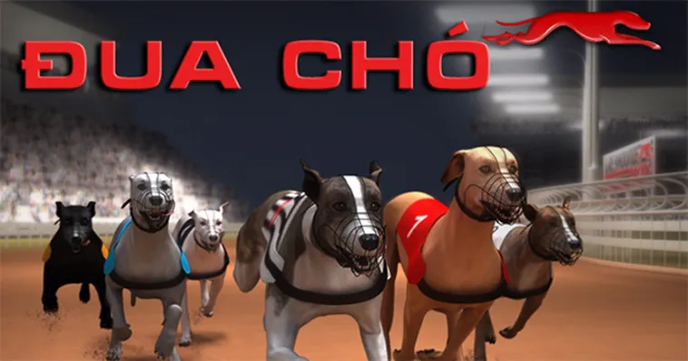 Cách Chơi Game Nhanh Đua Chó Tại Hi88 Chi Tiết Và Hiệu Quả